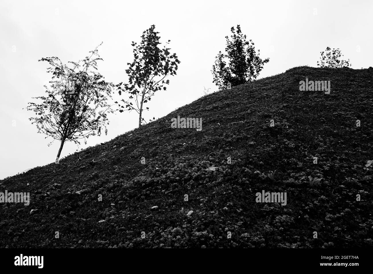 Mound di Marble Arch Foto Stock