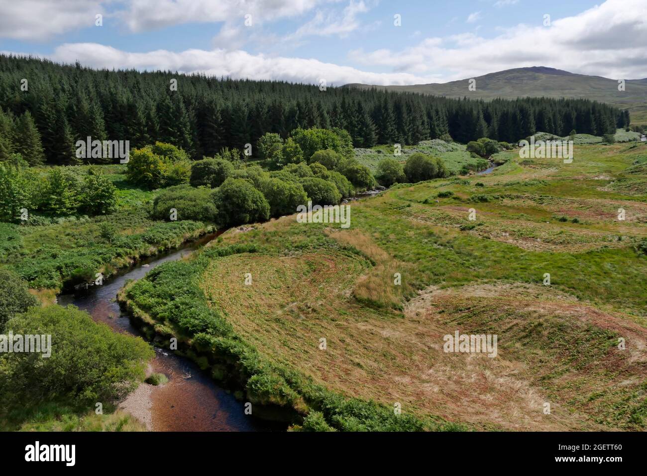 Cairnsmore della riserva naturale nazionale della flotta, Dumfries e Galloway, Scozia, Regno Unito Foto Stock