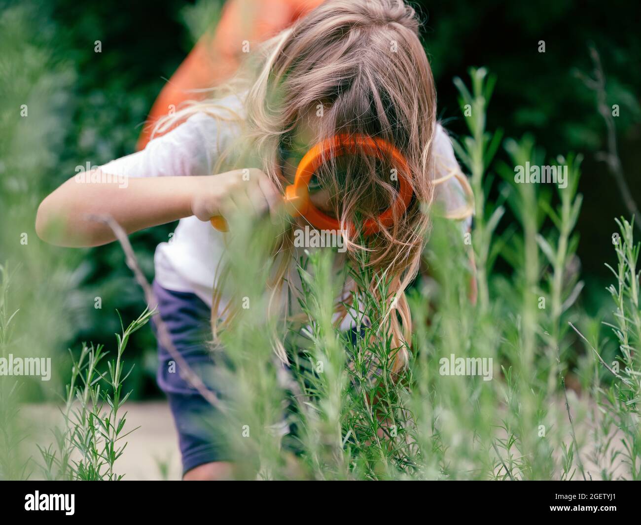 Un bambino che esplora la natura, a caccia di insetti con una grande lente d'ingrandimento Foto Stock