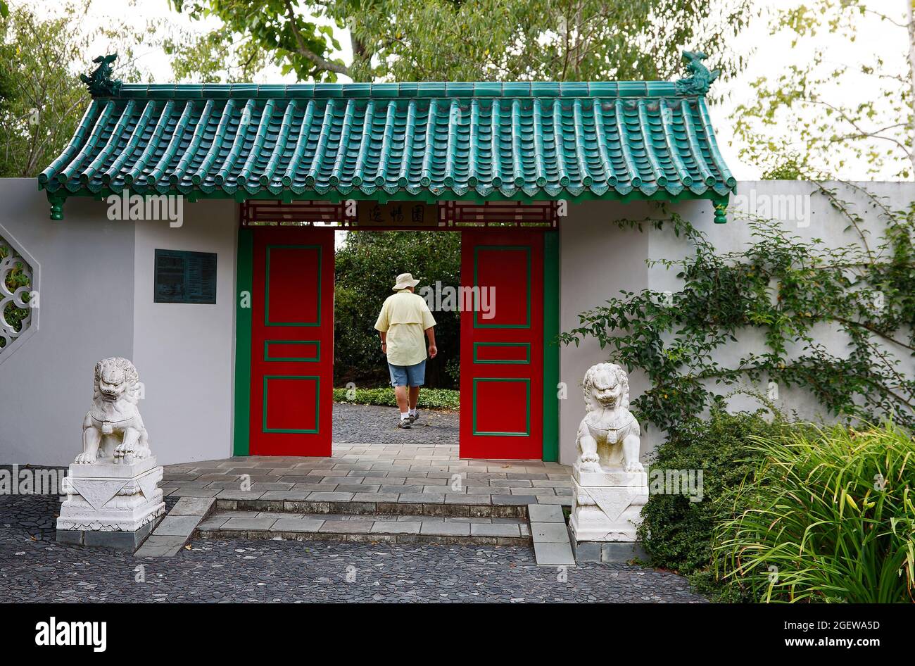 giardino murato, ingresso, porte doppie rosse, uomo camminato attraverso, tetto di tegole verdi, Statue lions, invitanti, Giardino dello Scholar cinese; Hamilton; New Zeala Foto Stock