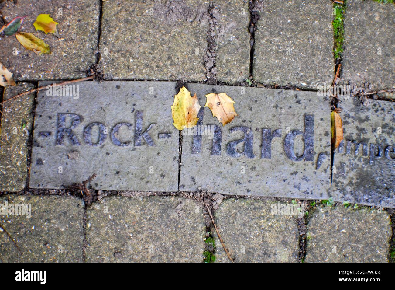 Hornsea Ceramica piastrelle di pavimentazione - le parole Rock-hard può essere visto Foto Stock