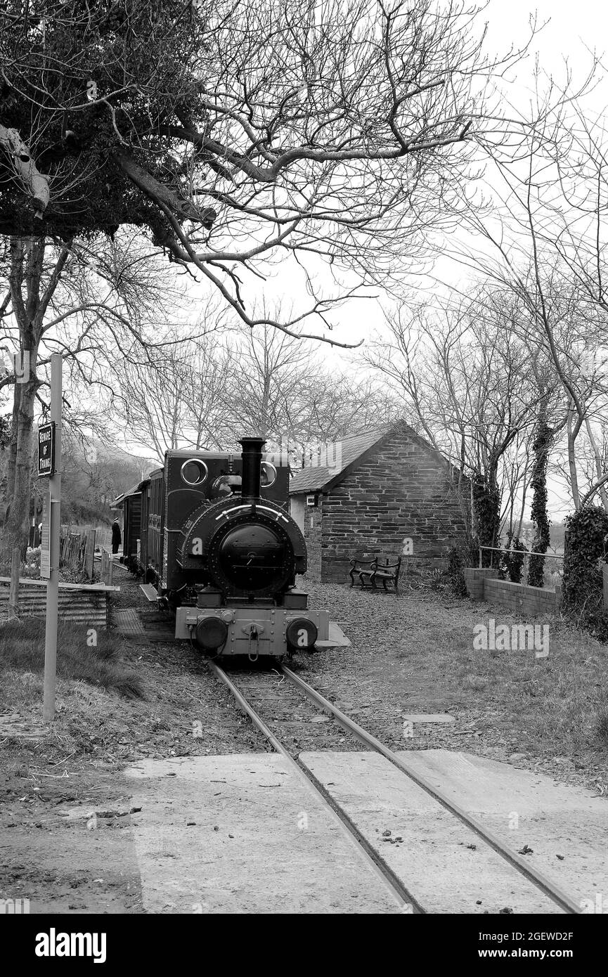 'Talyllyn' a Brynglas. Foto Stock