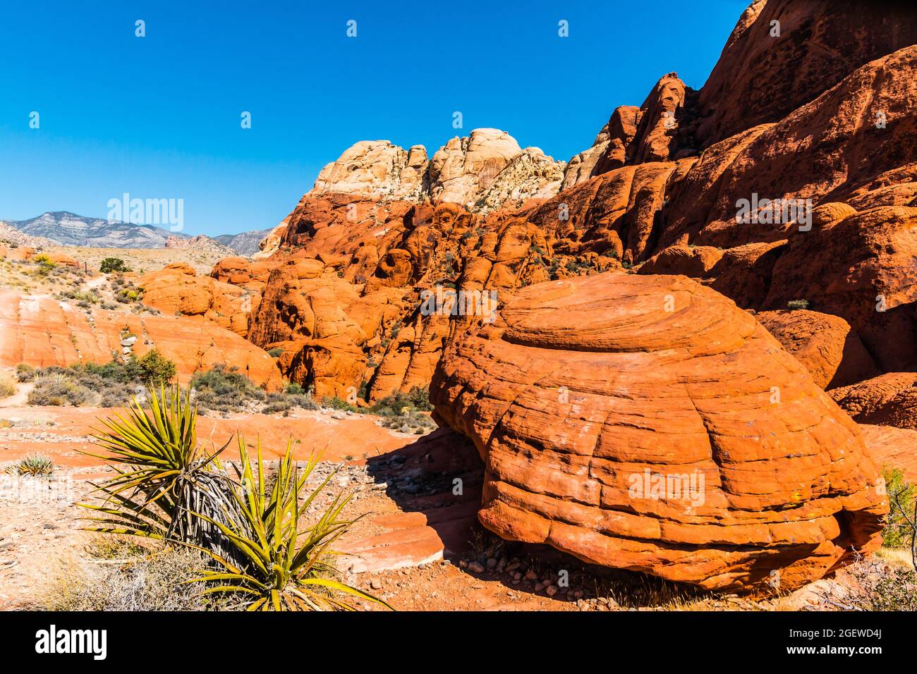 I motivi di erosione si formarono nell'arenaria azteca delle colline di Calico, il Red Rock Canyon NCA, Las Vegas, Nevada, USA Foto Stock