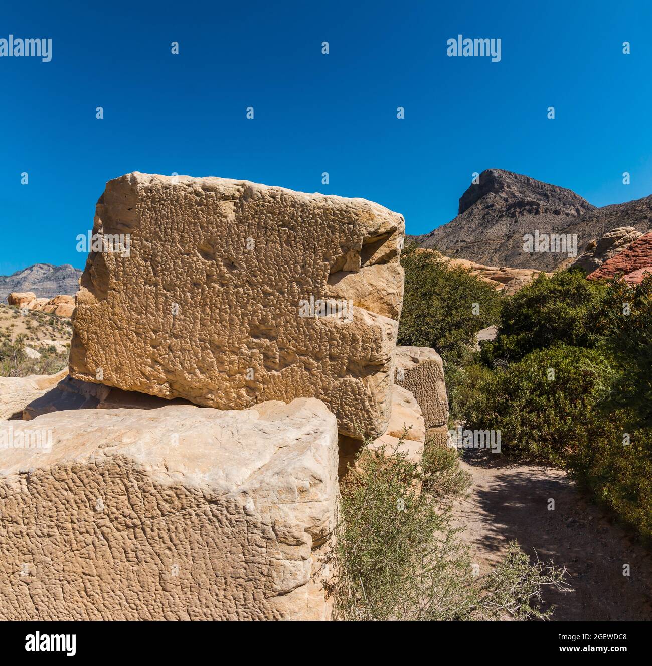 Blocchi di arenaria azteca vicino alla cava di arenaria con Turtlehead Peak in lontananza, Red Rock Canyon NCA, Las Vegas, USA Foto Stock