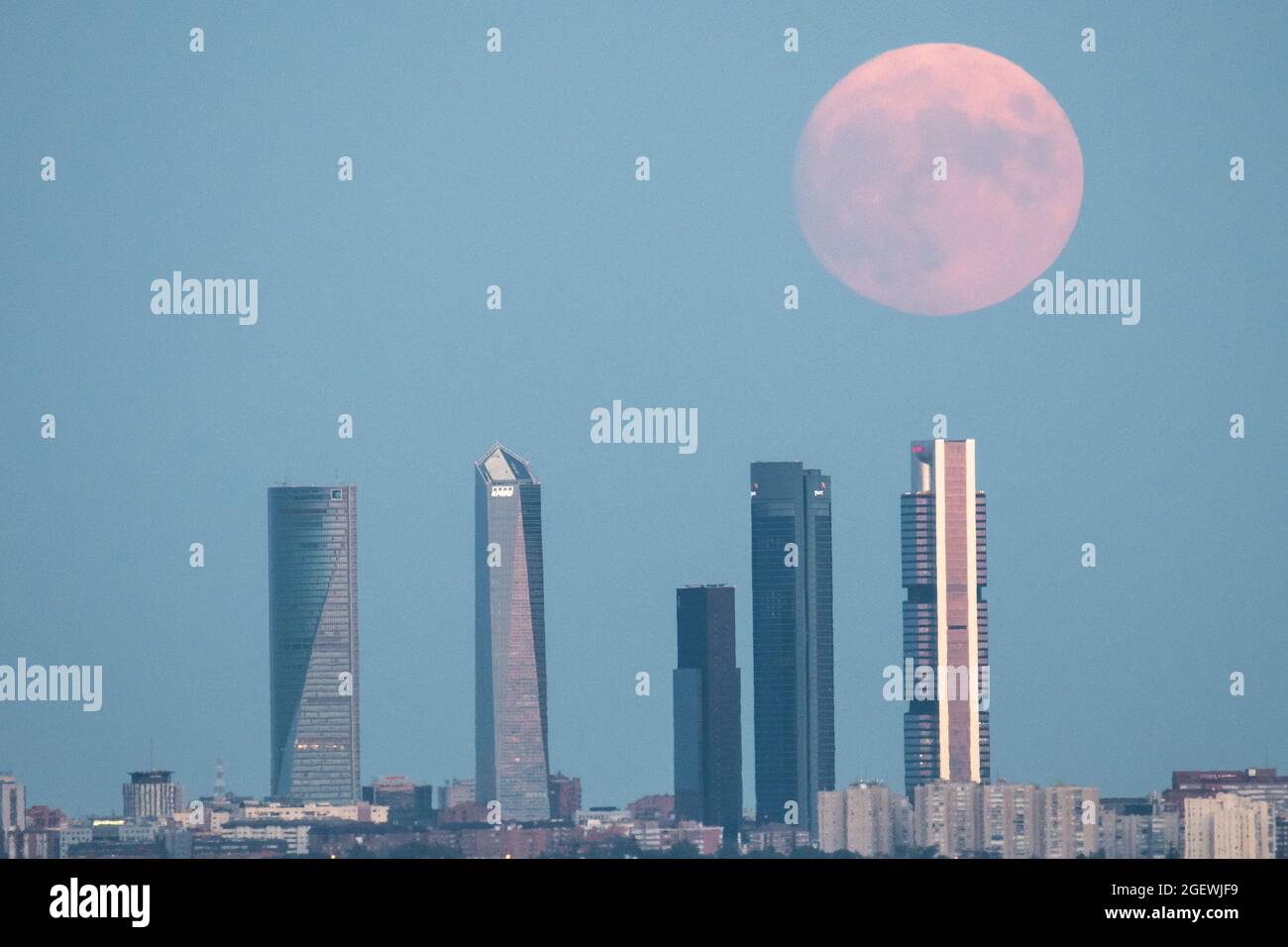 Madrid, Spagna. 21 Agosto 2021. La luna piena di agosto conosciuta come luna storione e anche luna blu per questa occasione, sorge sui grattacieli della zona commerciale Four Towers. Credit: Marcos del Maio/Alamy Live News Foto Stock