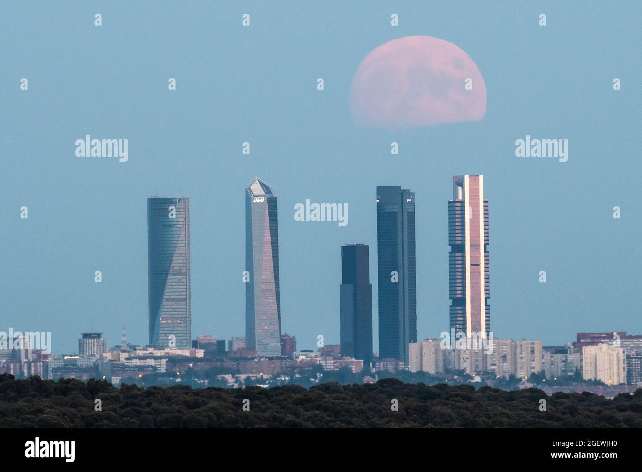 Madrid, Spagna. 21 Agosto 2021. La luna piena di agosto conosciuta come luna storione e anche luna blu per questa occasione, sorge sui grattacieli della zona commerciale Four Towers. Credit: Marcos del Maio/Alamy Live News Foto Stock