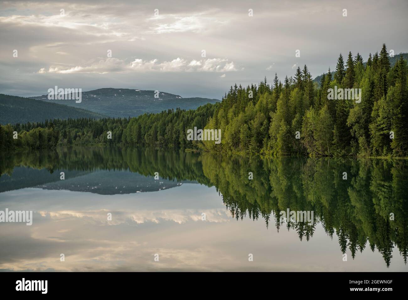 Panoramica Nordland County Norvegia. Lago di superficie calma, montagne e riflessi della linea dell'albero. Paesaggio norvegese. Foto Stock
