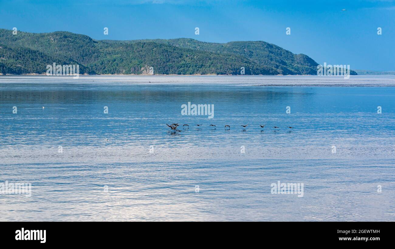 Tadoussac, Canada - Luglio 22 2021: Vista sul fiume St-Lawrence durante il tramonto a Tadoussac Foto Stock