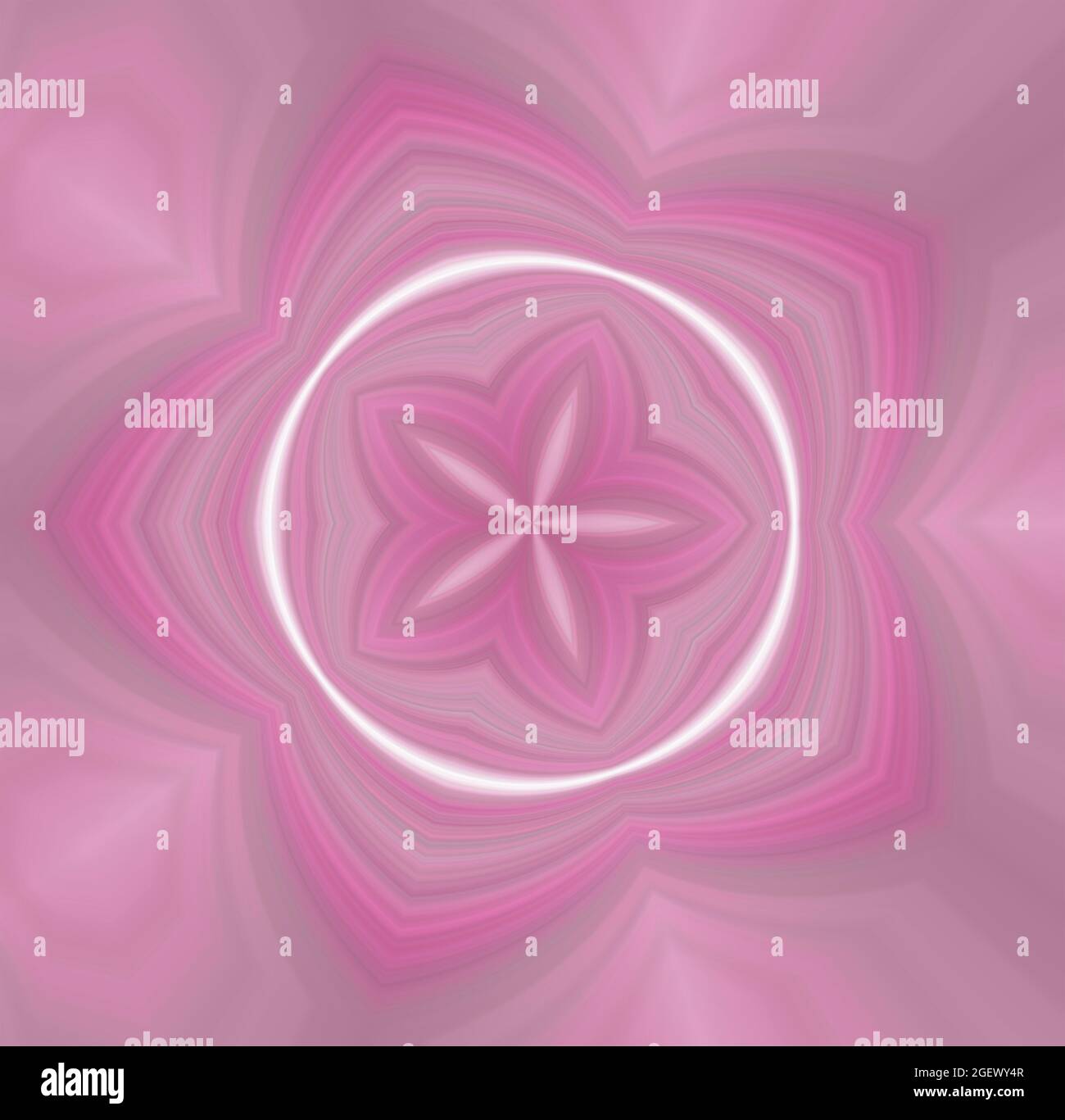 rosa rotondo circolare di stelle marine modello Foto Stock