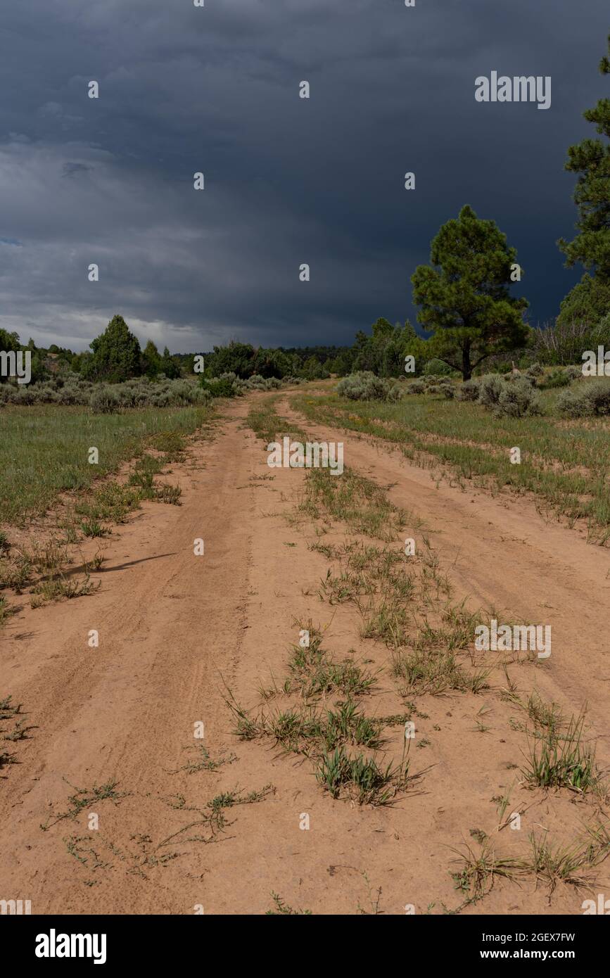 Una strada sterrata in una zona remota del New Mexico settentrionale, nuvole di tempesta scura davanti. Foto Stock