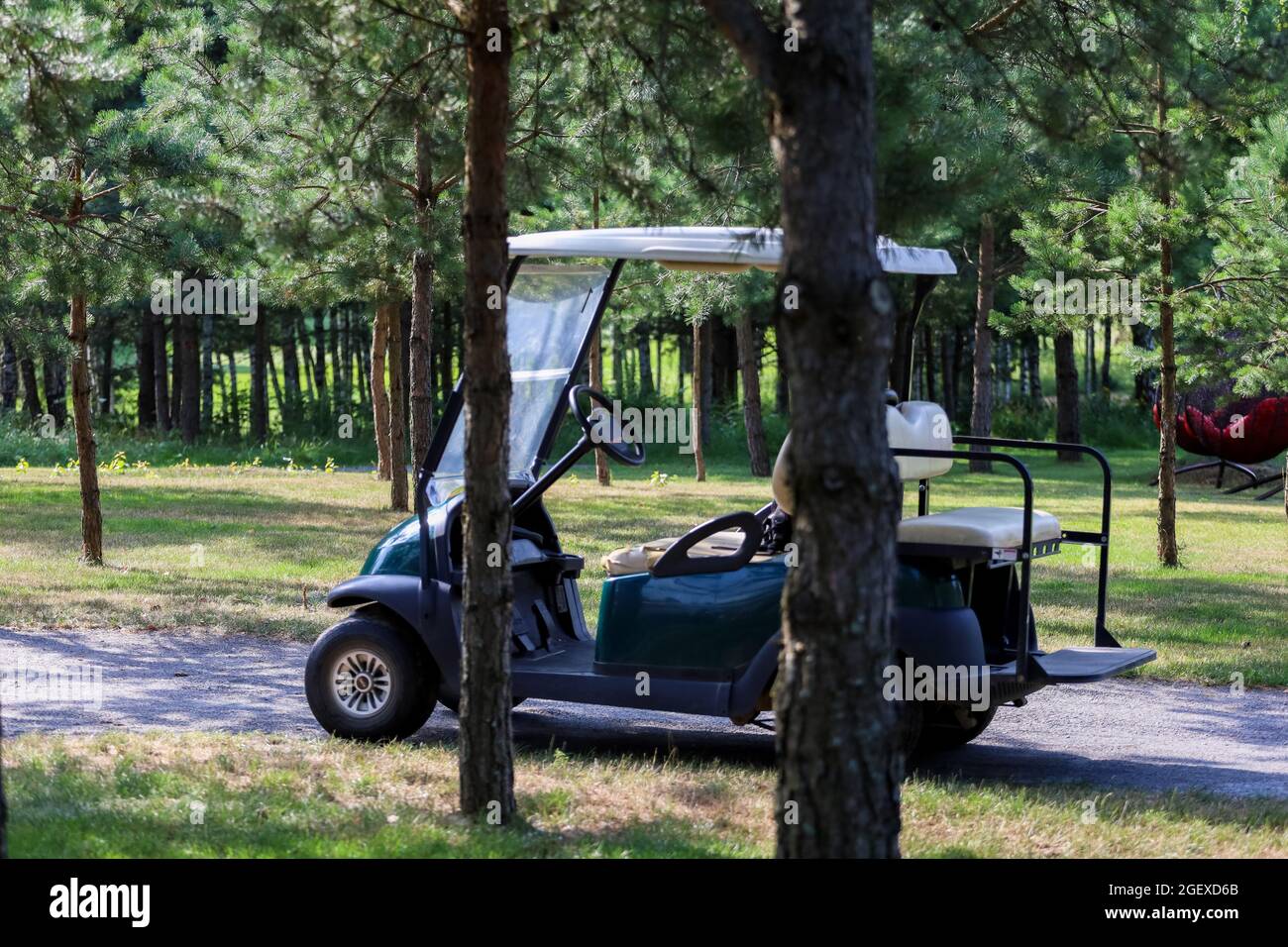 Bielorussia. Minsk - 24.07.2021 l'auto elettrica sul campo da golf si trova all'ombra degli alberi. Foto Stock