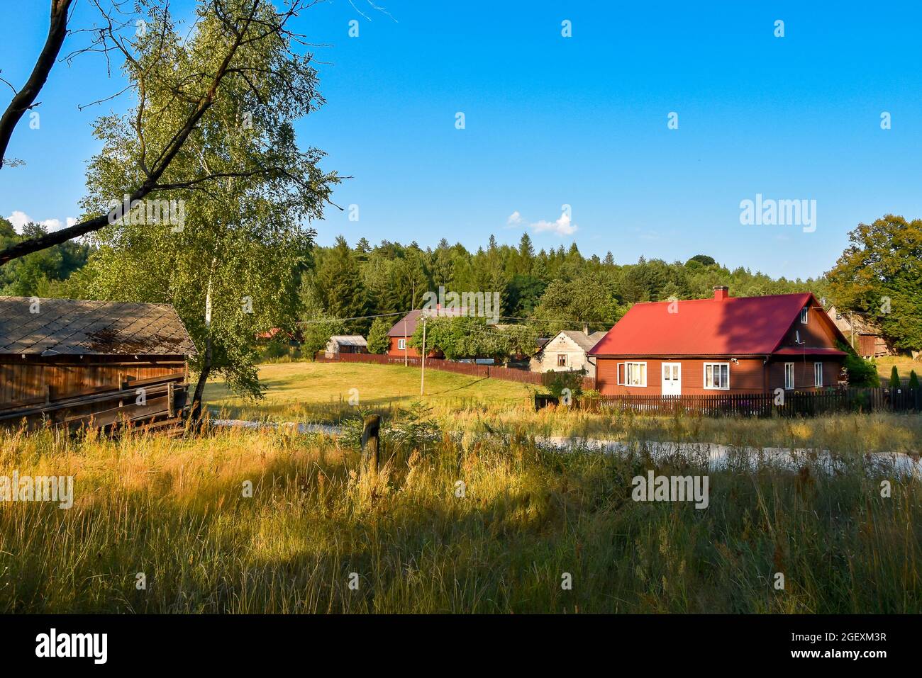 Vista su un villaggio tradizionale e polacco situato nel mezzo della foresta. Bella serata in estate. Gruppo di case in legno su un prato. Foto Stock