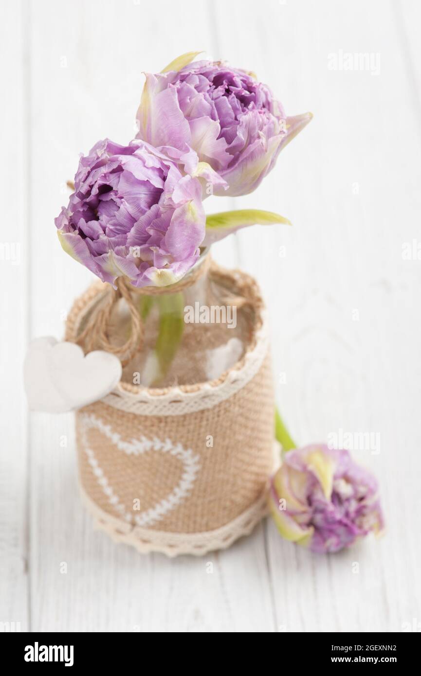 Tulipani viola in bottiglia con cuori su tavola bianca di legno shabby. Foto Stock