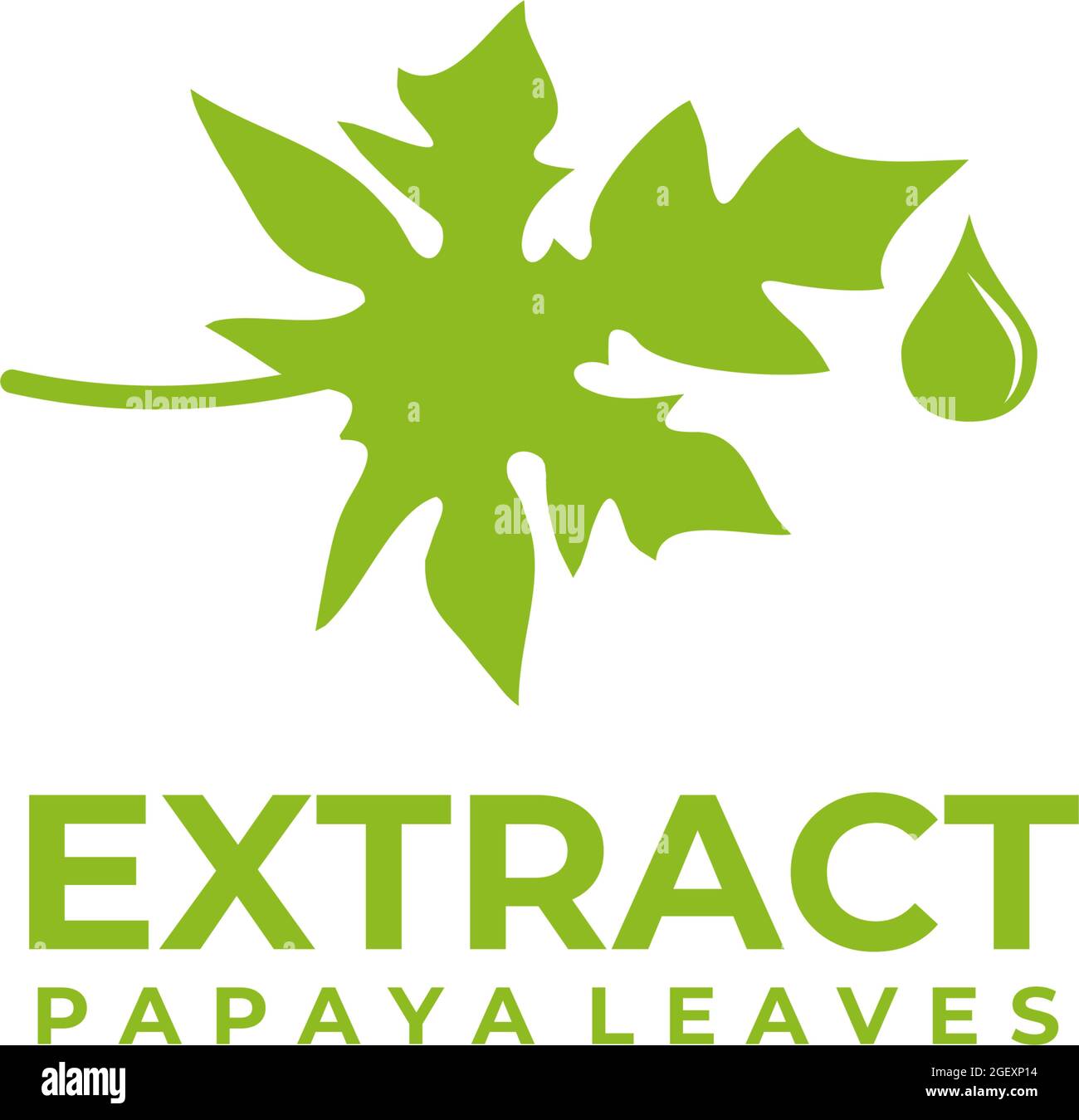 Papaya foglie erboristeria logo modello vettoriale Illustrazione Vettoriale