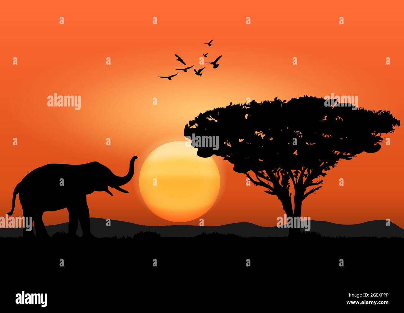 Immagine silhouette elefante nero con camminare nella foresta con montagna e tramonto sfondo sera luce vettore Illustrazione Illustrazione Vettoriale