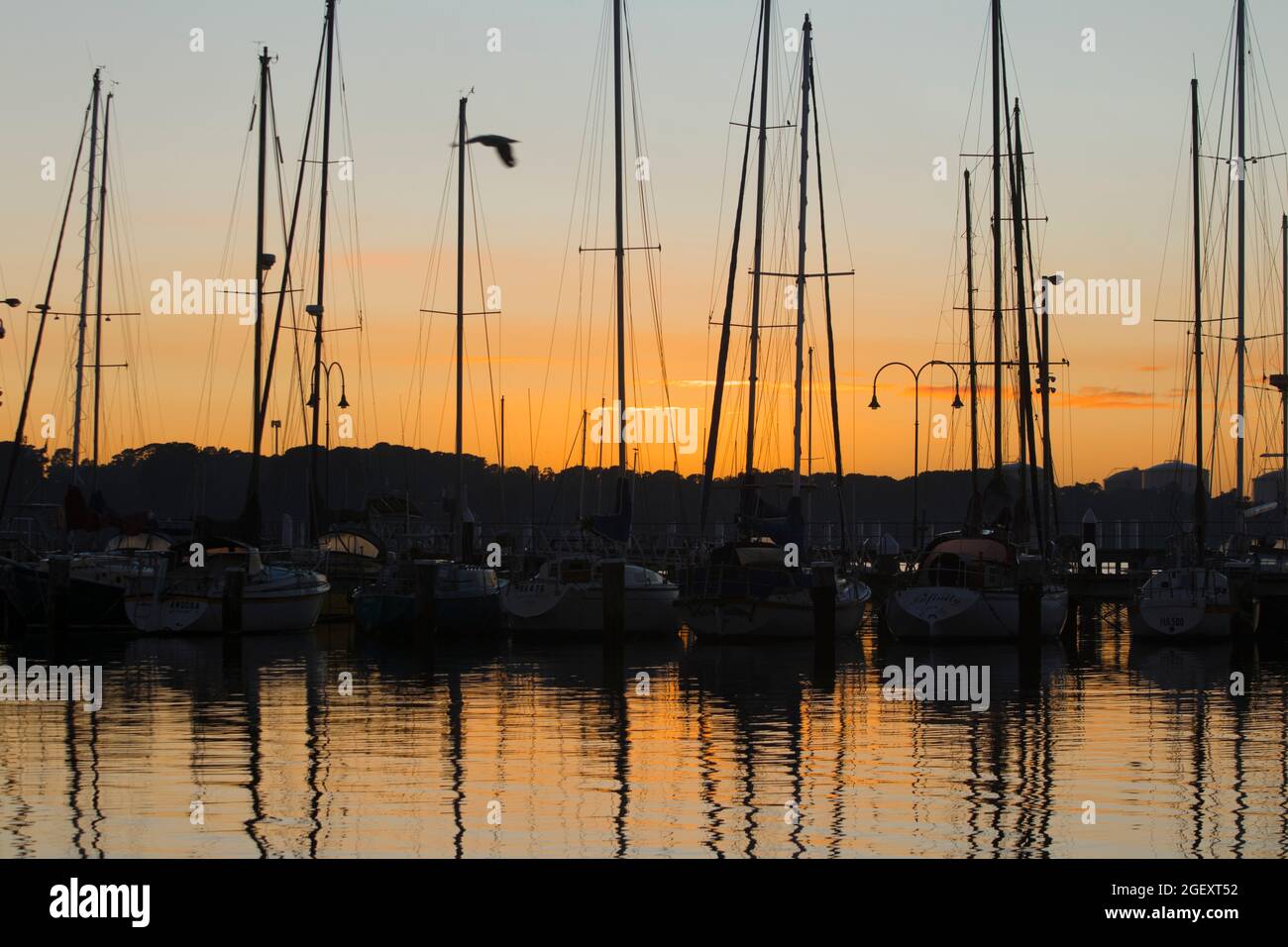 Alba sul lungomare di Hastings a Western Port Bay Foto Stock