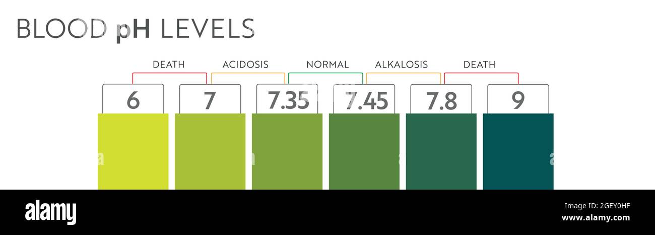 Range di ph del sangue umano. Tabella e scala di illustrazione medica. Diagramma acido, normale, alcalino. Illustrazione Vettoriale