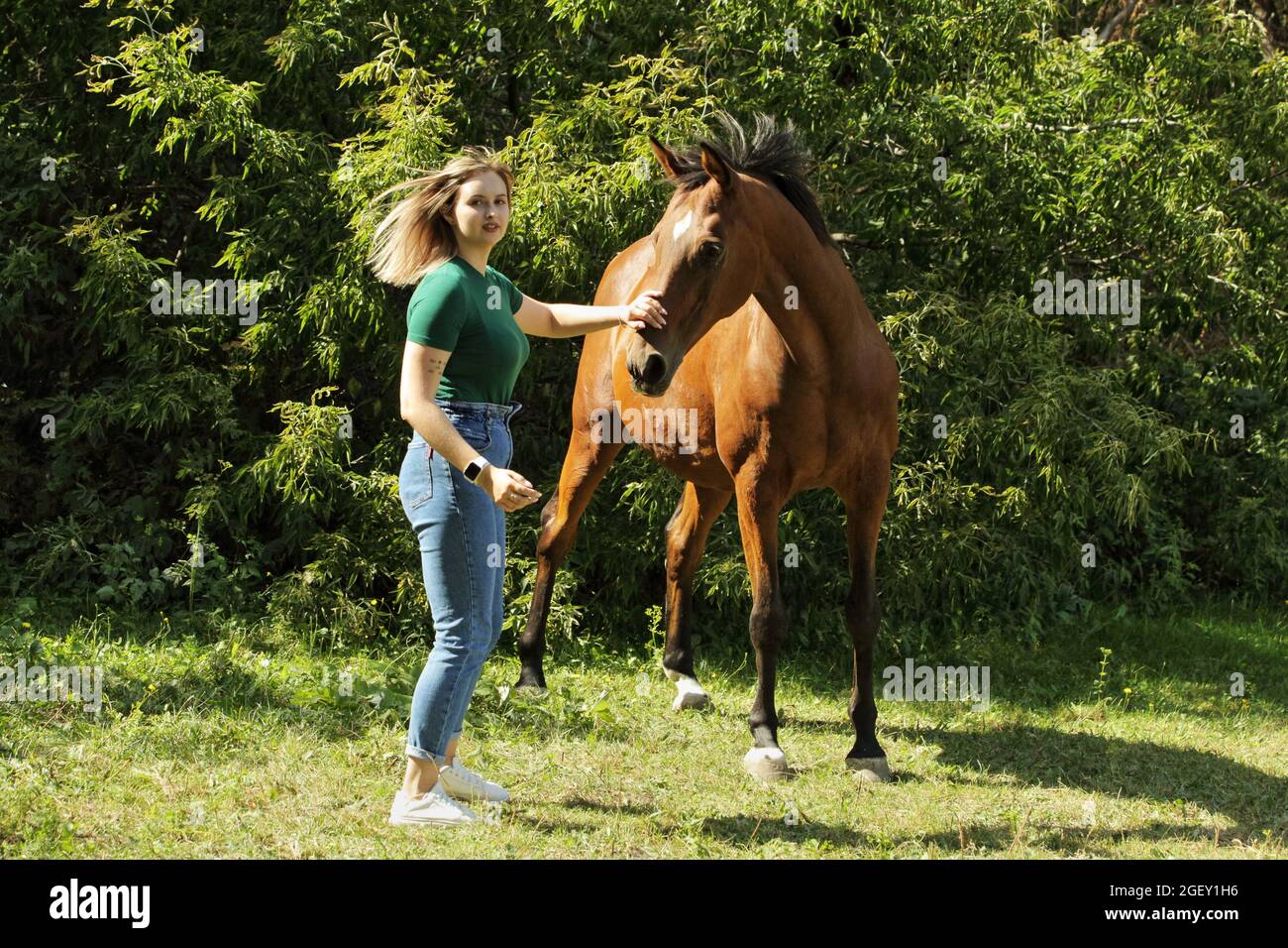 Bella ragazza di campagna in posa con cavallo bianco nel ranch Foto Stock