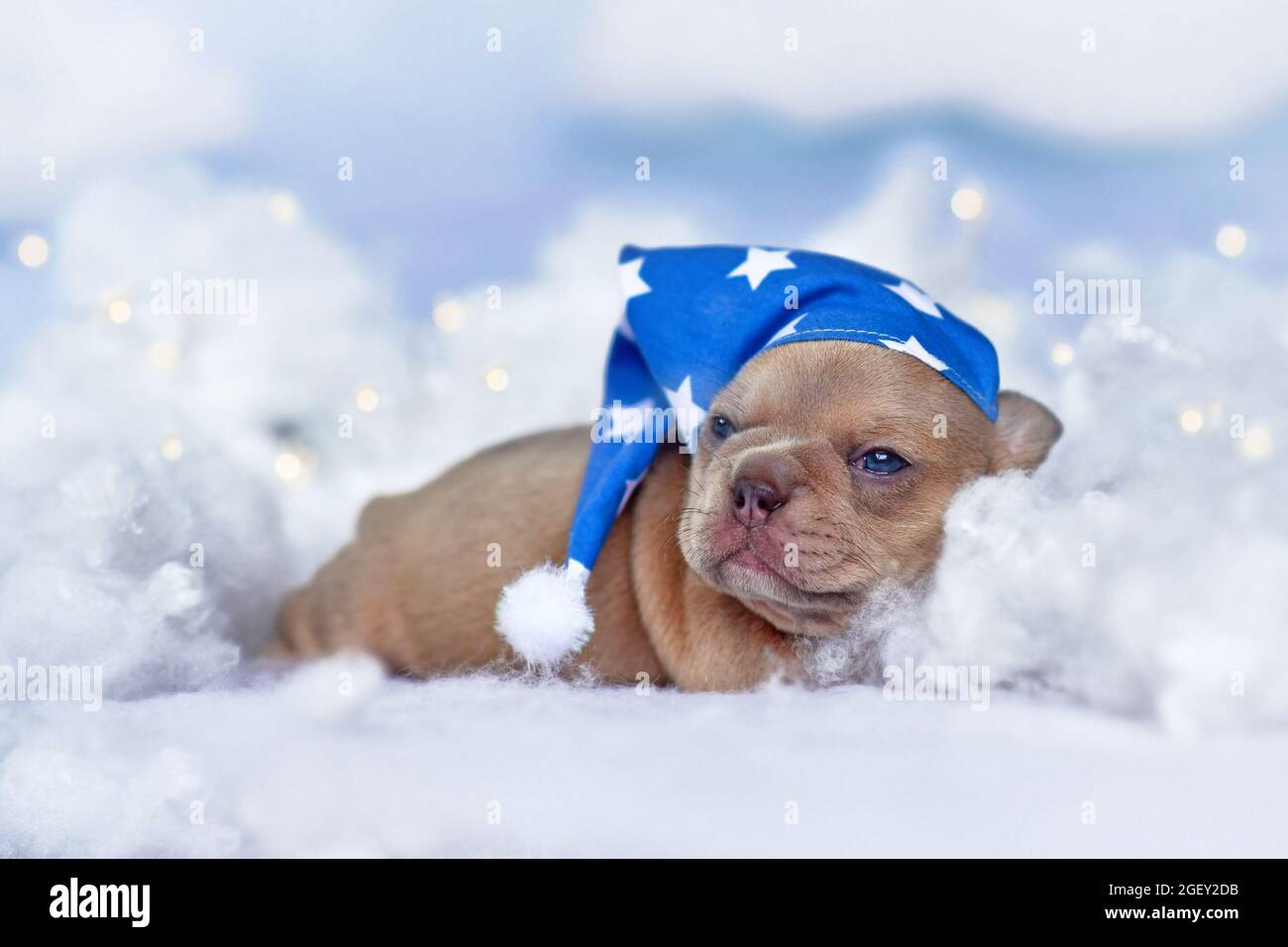 Cucciolo di Bulldog francese sonnolento con berretto da notte adagiato tra le nuvole soffici e le stelle Foto Stock