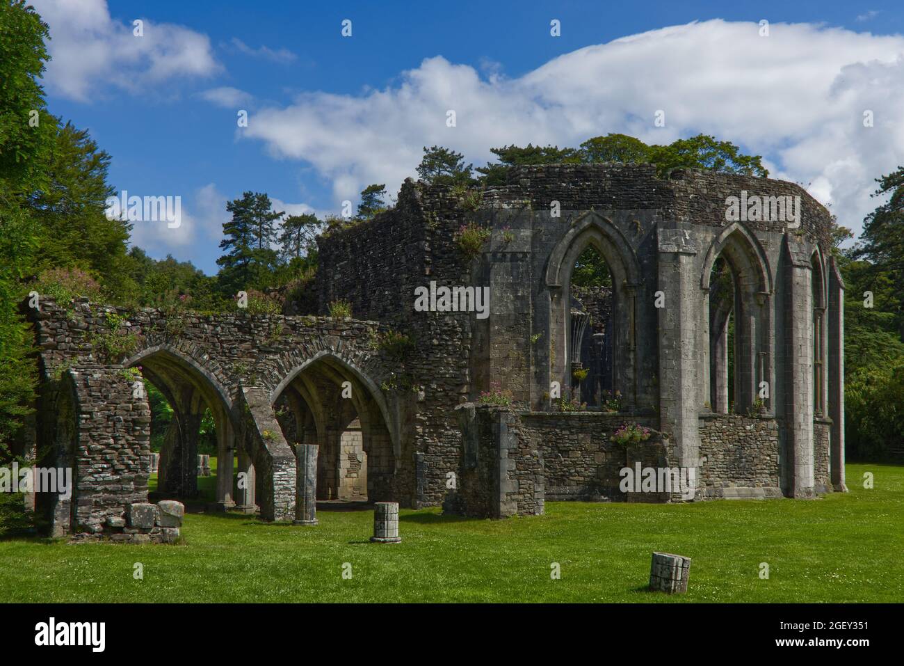 Le rovine di Margam Abbey Chapter House, un monastero cistercense, Margam Country Park. Port Talbot, Galles del Sud. Foto Stock