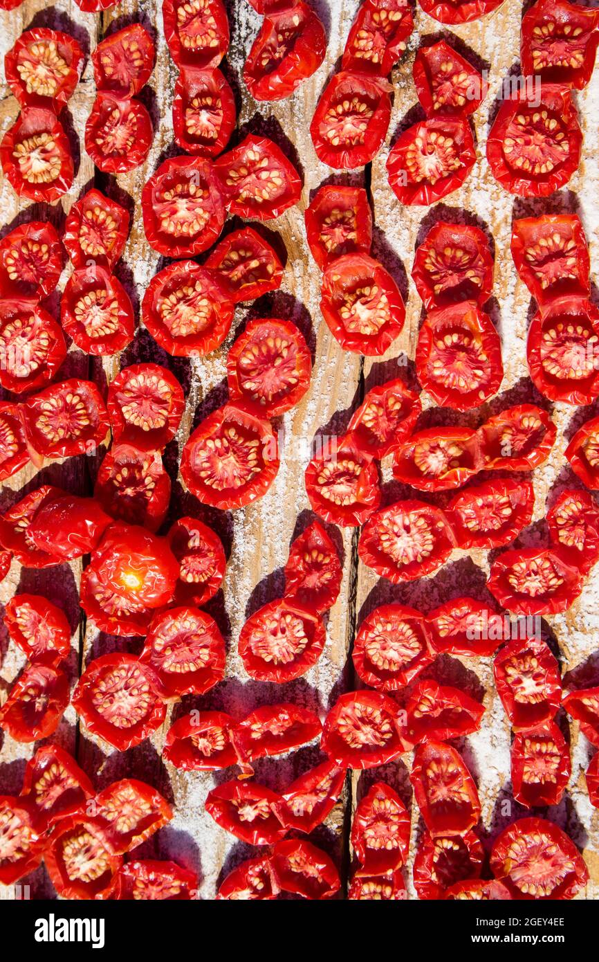 Metodo di conservazione del pomodoro di tipo Pachino mediante essiccazione naturale Foto Stock