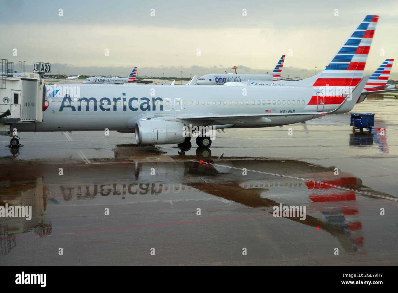 DALLAS, TX - 18 MAGGIO 2021 - Vista del riflesso del logo dell'aereo da American Airlines (AA) dopo la pioggia al Dallas Fort Worth International ai Foto Stock