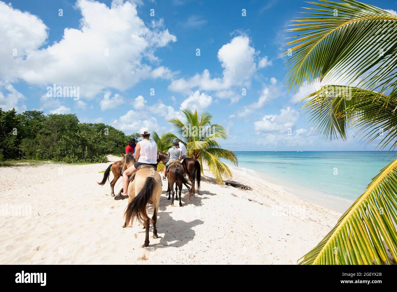 Vista posteriore di un gruppo di persone a cavallo su una spiaggia tropicale sull'isola di Cozumel in Messico Foto Stock