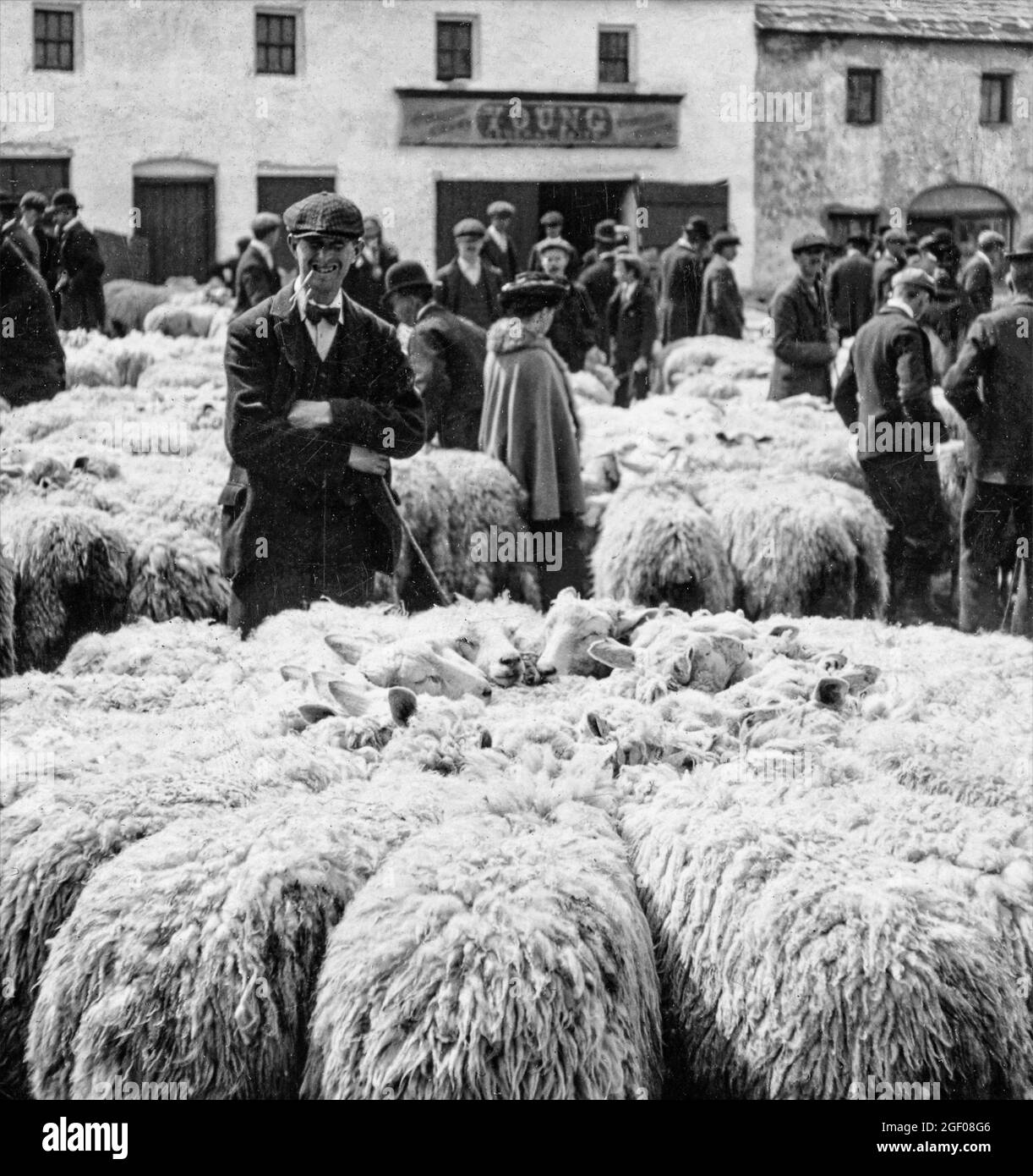 Un pastore e pecore in una fiera di pecore del 20 ° secolo ad Athlone, una città al confine della contea di Roscommon e della contea di Westmeath, Irlanda. Foto Stock