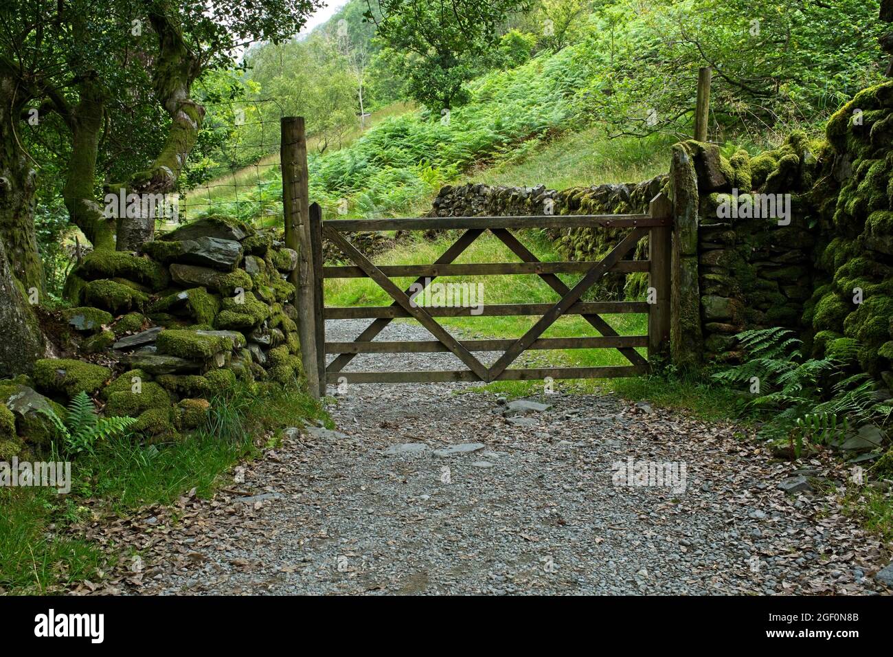 Un cancello di cinque bar circondato da un muro di pietra secca molto coperto muschio nel distretto del lago, Inghilterra Foto Stock