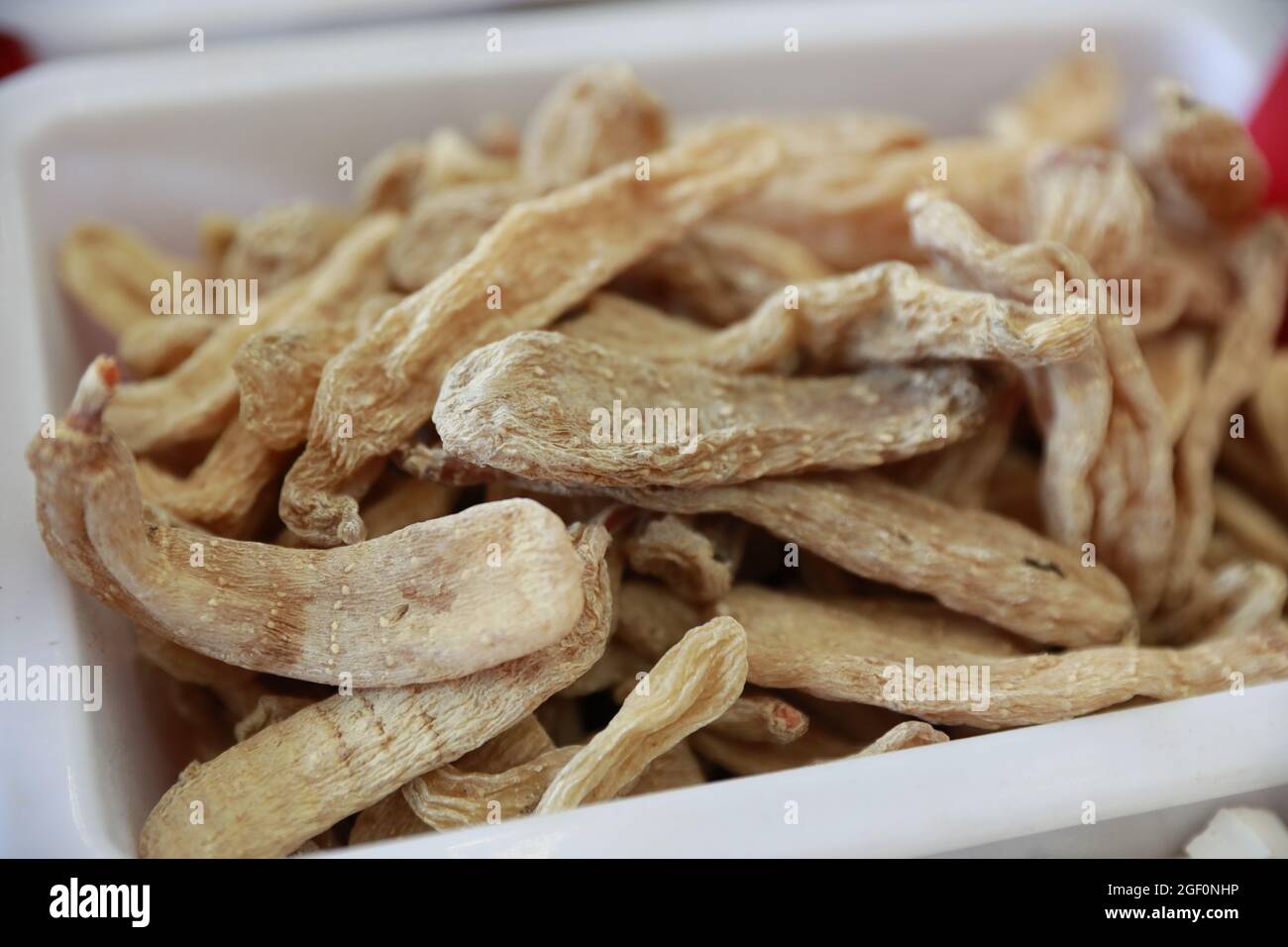 Gastrodia elata blume è una specie di rara medicina cinese. Foto Stock
