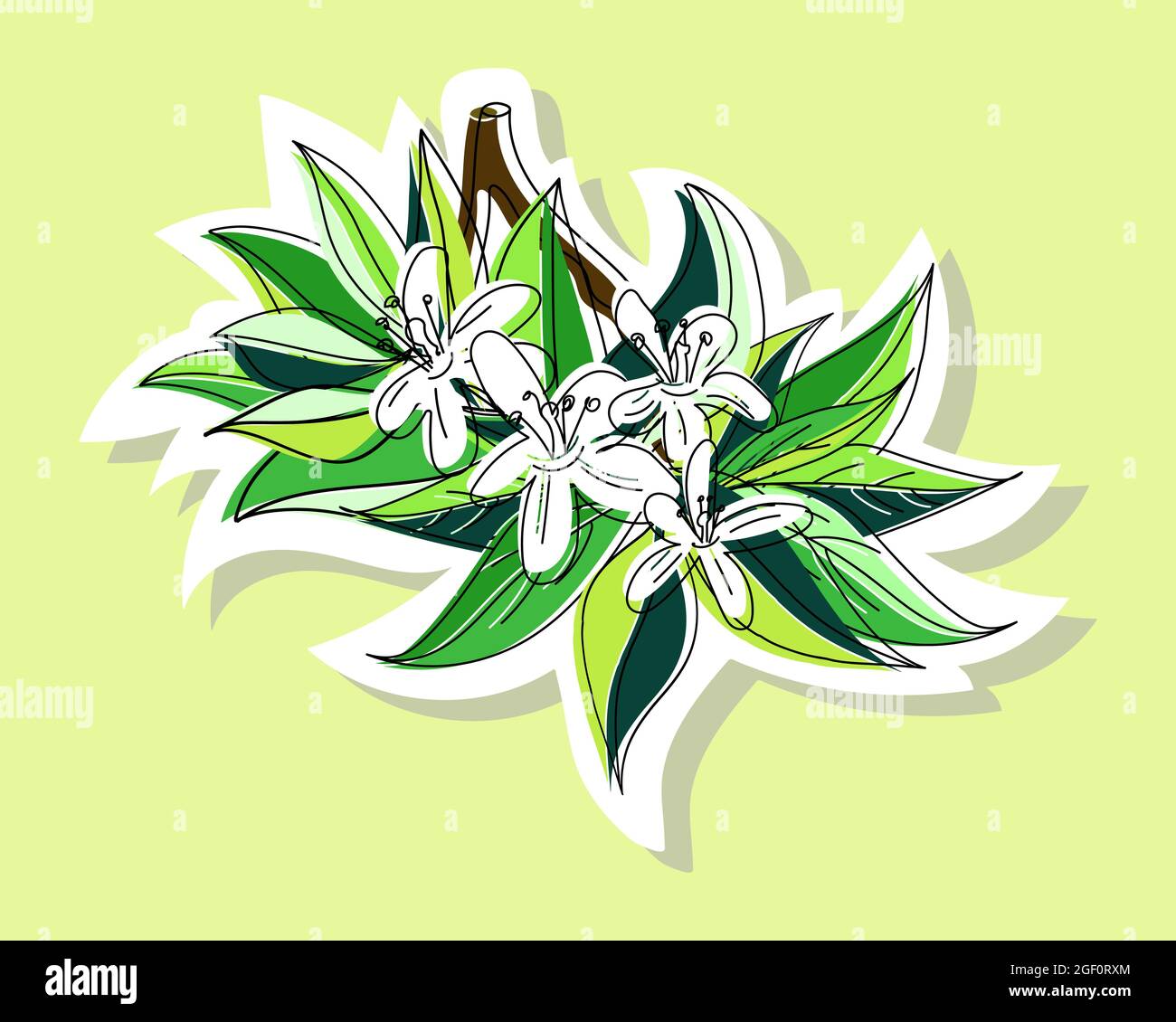 Illustrazione vettoriale di un ramo fiorente con fiori. Stile cartoon. Illustrazione Vettoriale