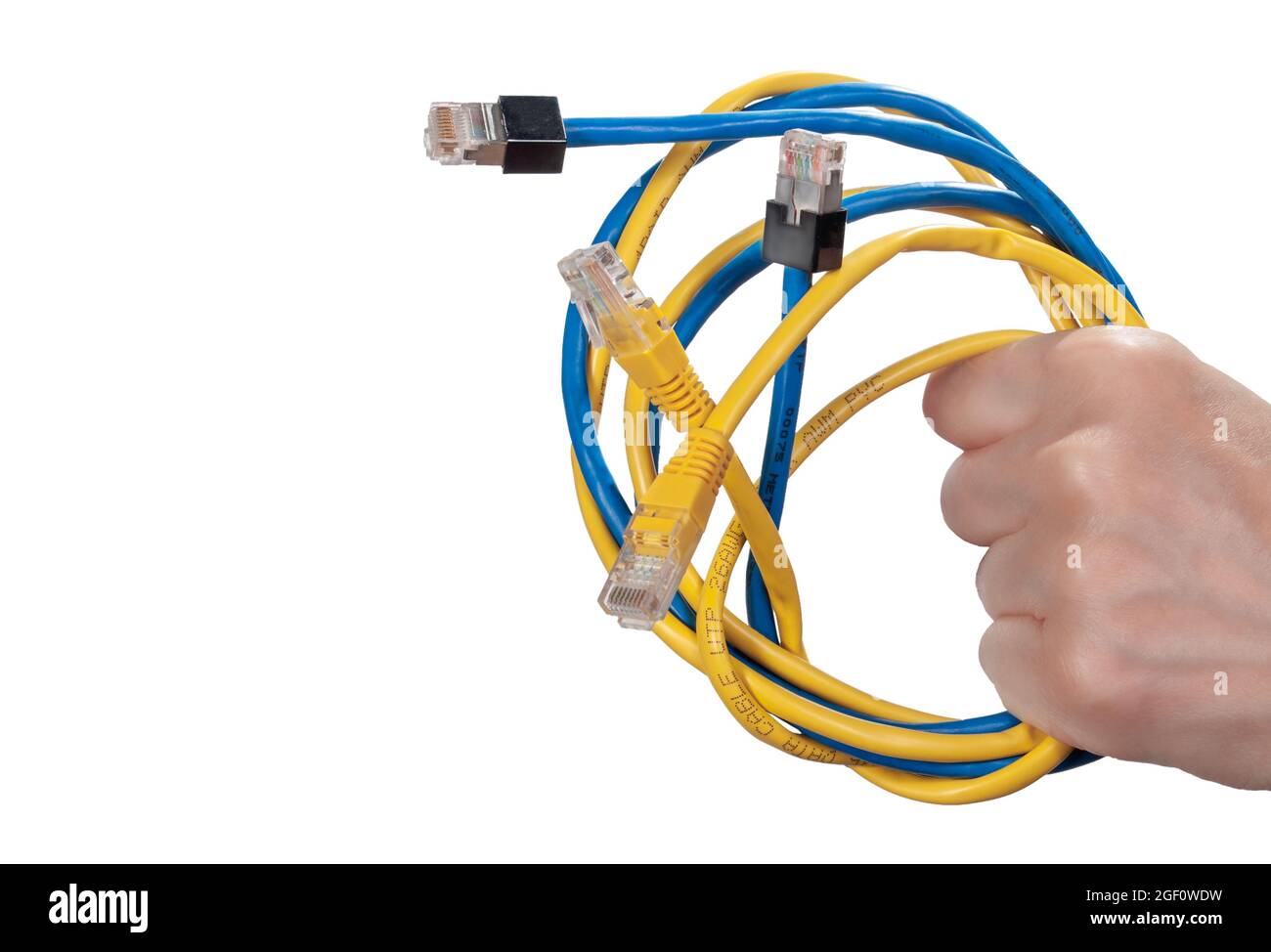 Cavi Ethernet blu e giallo in mano da donna isolati su sfondo bianco.  Fascio di cavi di interfaccia Ethernet per computer con colori diversi Foto  stock - Alamy