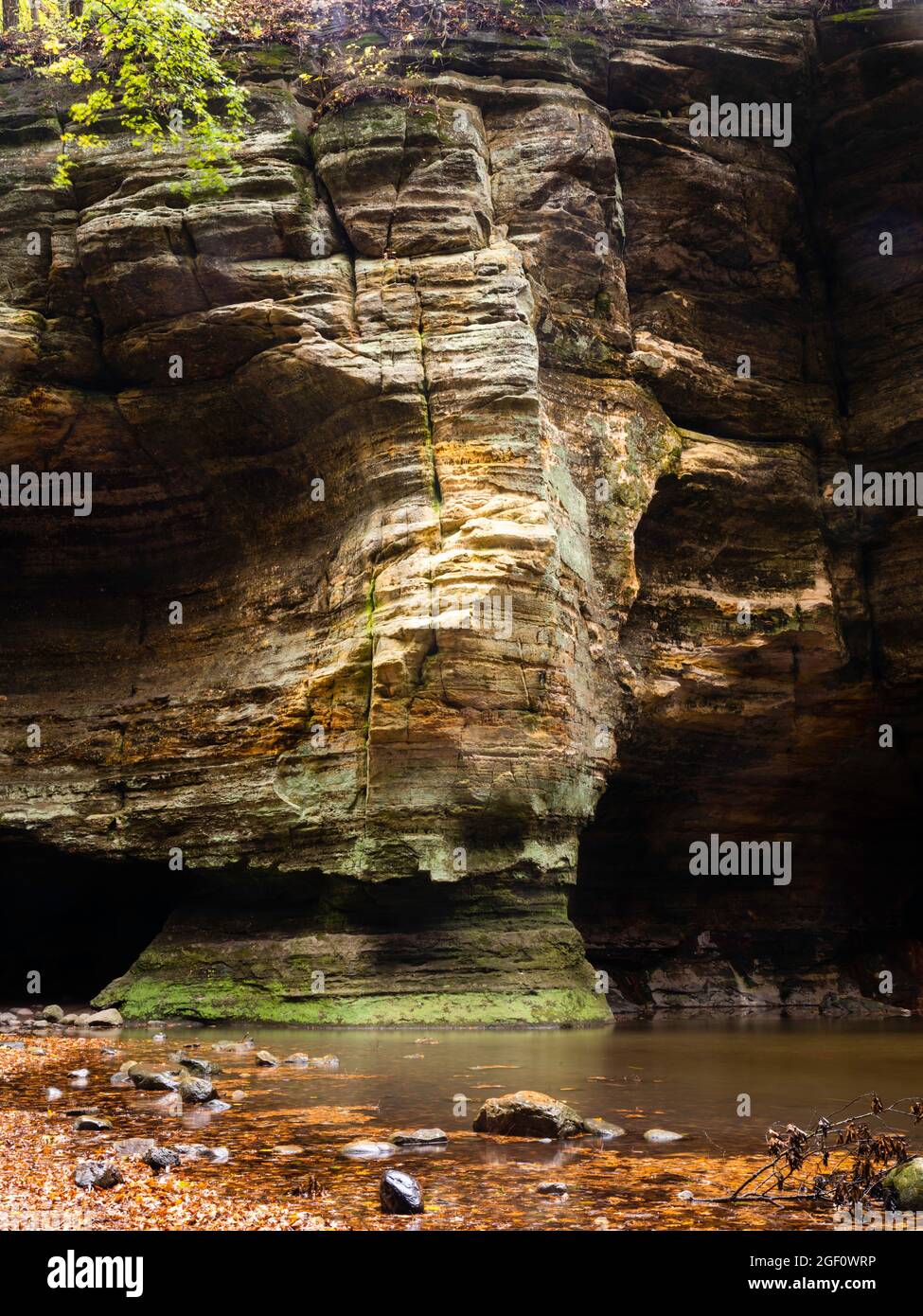 Matthiessen state Park in una giornata d'autunno fredda, nuvolosa e piovosa, perfetta per far schioccare i colori. Foto Stock