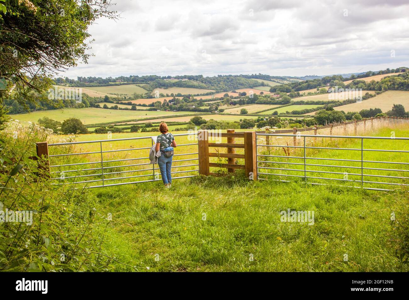 Donna che cammina nelle Chiltern Hills sulla via Chilterns lungo distanza sentiero vicino Stokenchurch Buckinghamshire, Inghilterra. Foto Stock