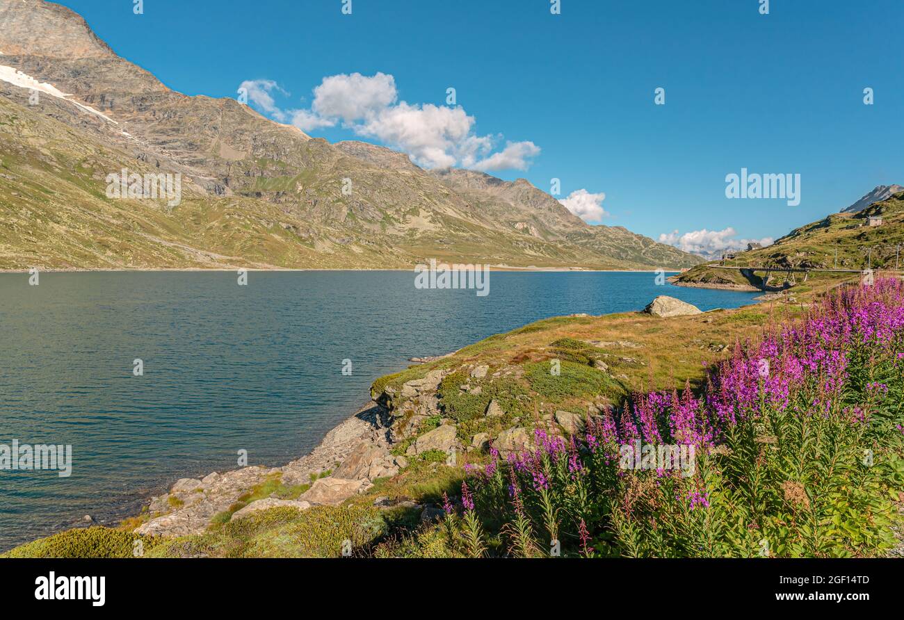 Paesaggio primaverile al Lago Bianco al Passo del Bernina, Grigioni, Svizzera Foto Stock