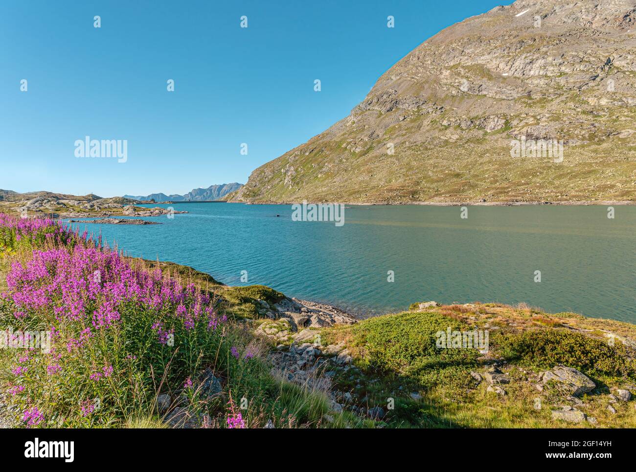 Paesaggio primaverile al Lago Bianco al Passo del Bernina, Grigioni, Svizzera Foto Stock