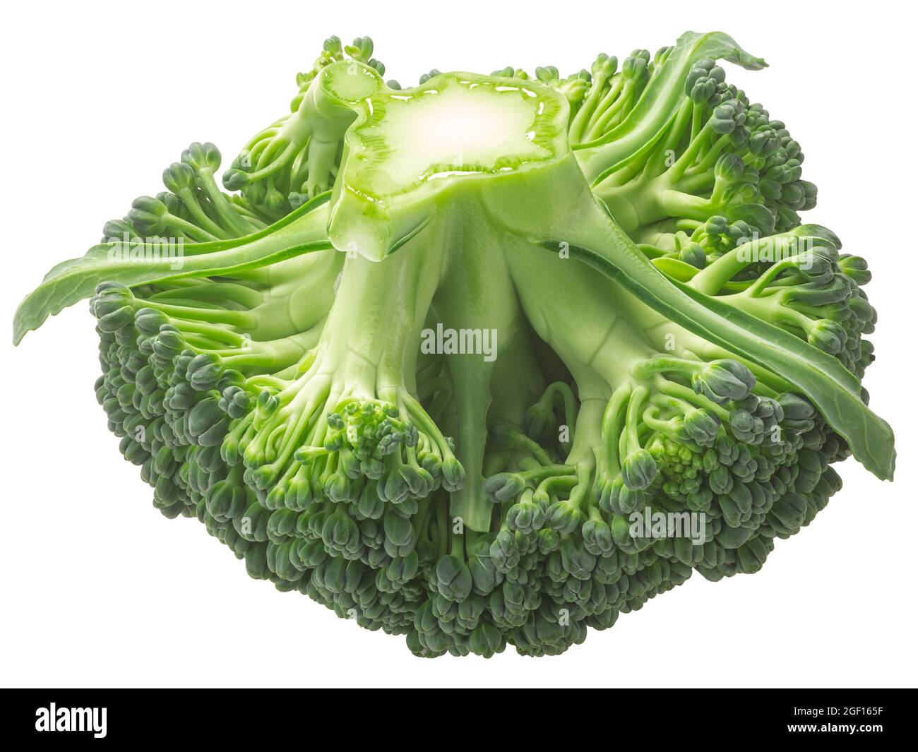 Testa di fiore di broccoli (Brassica oleracea var. Italica) con foglie, isolate Foto Stock