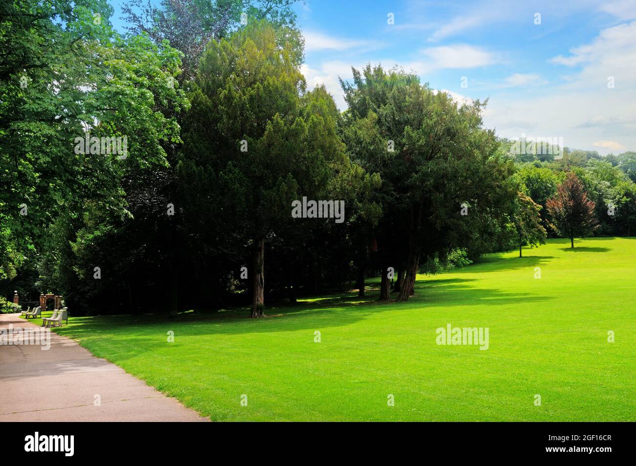 Parco estivo, prato verde e cielo blu. Una giornata luminosa e soleggiata. Foto Stock