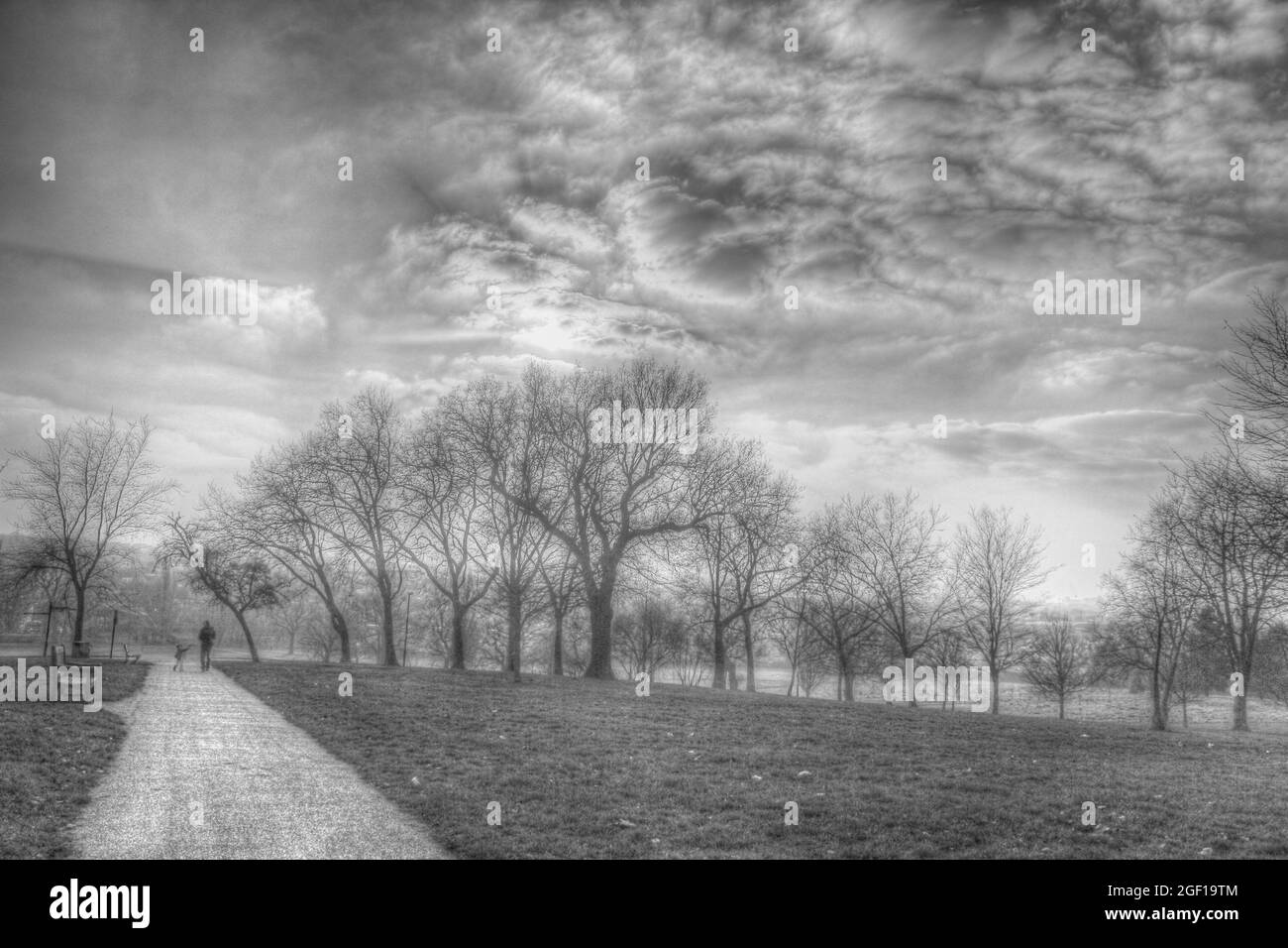 Passeggiate nel parco Foto Stock