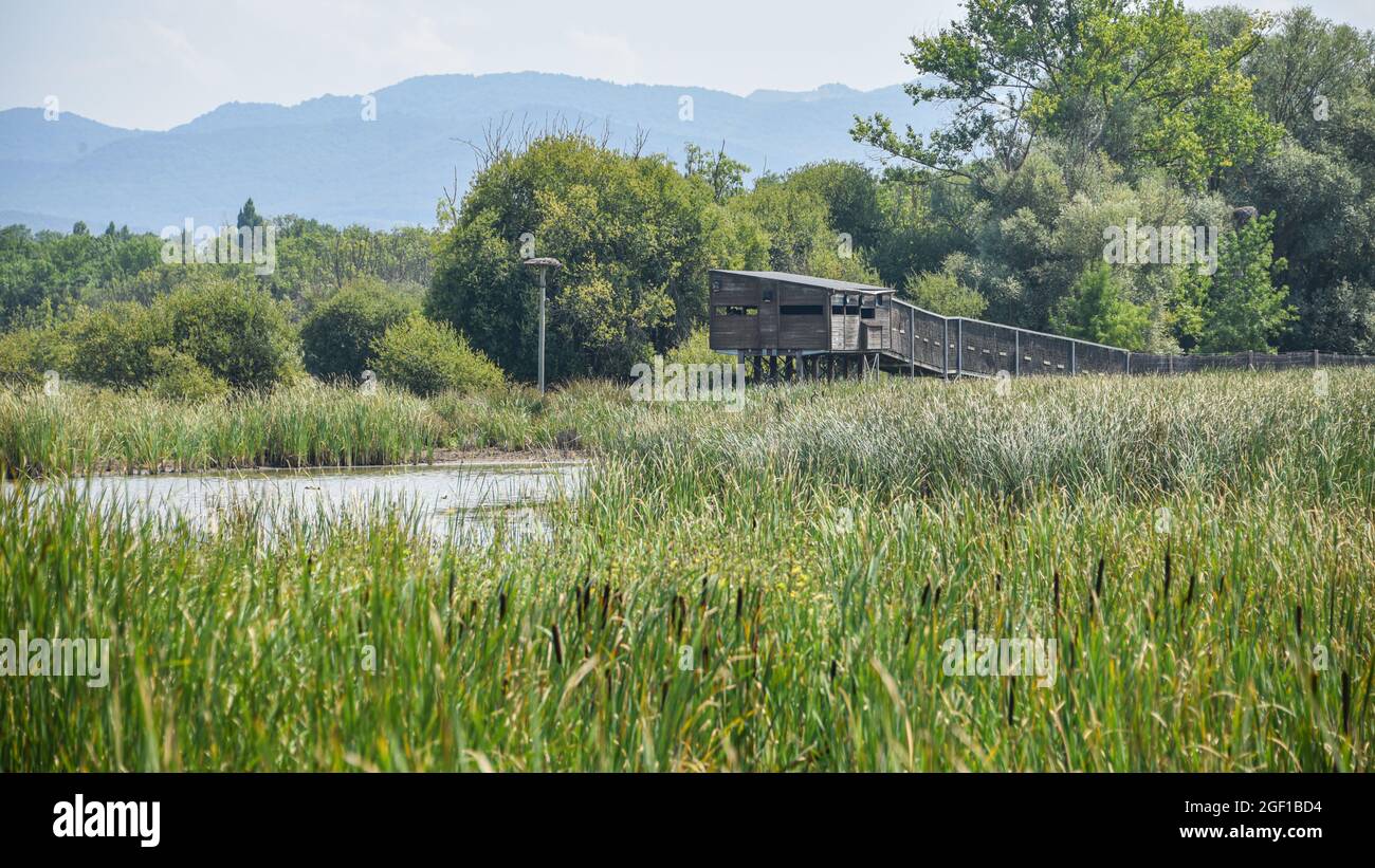 Vitoria-Gasteiz, Spagna - 21 agosto 2021: Osservazione della fauna selvatica nella riserva naturale delle zone umide di Salburua nei pressi di Vitoria-Gestaiz Foto Stock