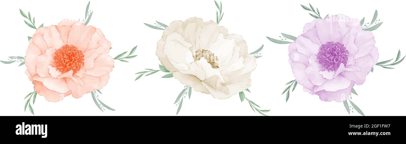 Anemone fiore bouquet watercolor set design elemento isolato su sfondo bianco.Vector Illustration.Eps10 Illustrazione Vettoriale