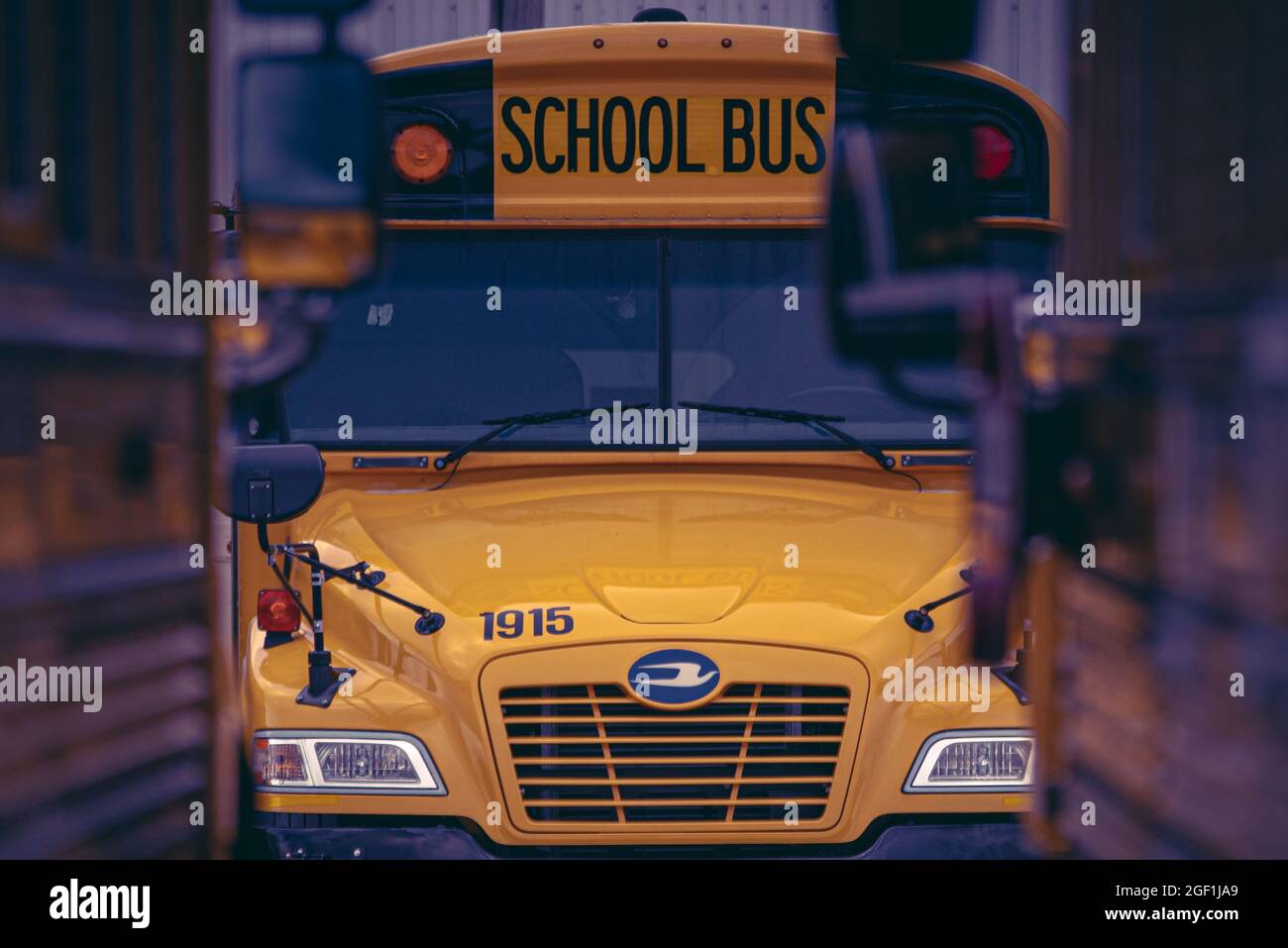 Ofallon, il--ago 13, 2021; vista della griglia frontale del parcheggio pubblico autobus scuola giallo visto tra i lati e specchi di altri due posti davanti Foto Stock