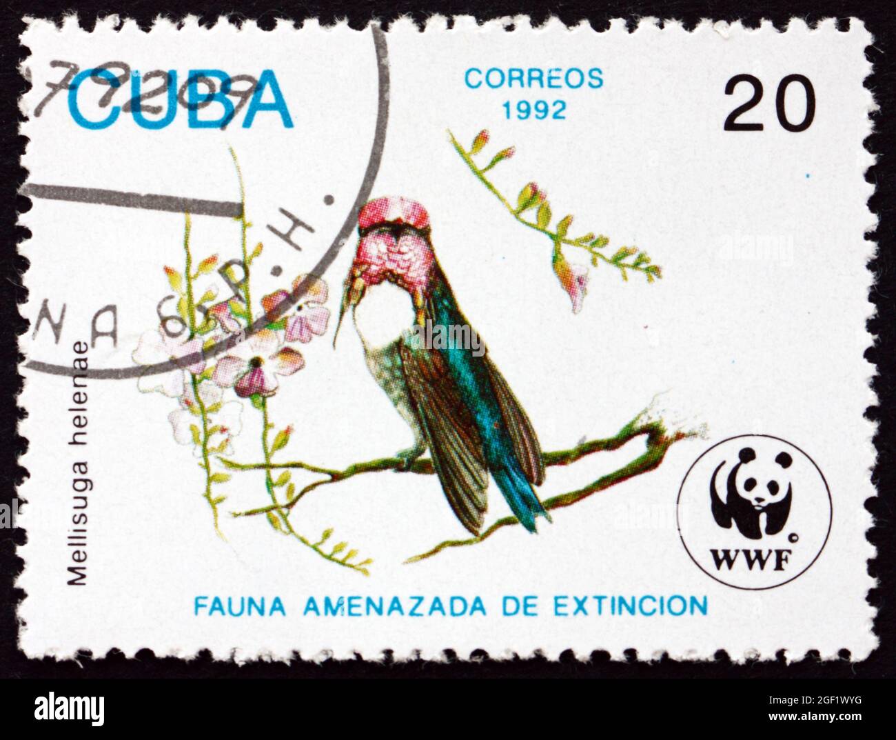 CUBA - CIRCA 1992: Un francobollo stampato a Cuba mostra hummingbird ape, mellisuga helenae, è il più piccolo uccello vivente, circa 1992 Foto Stock