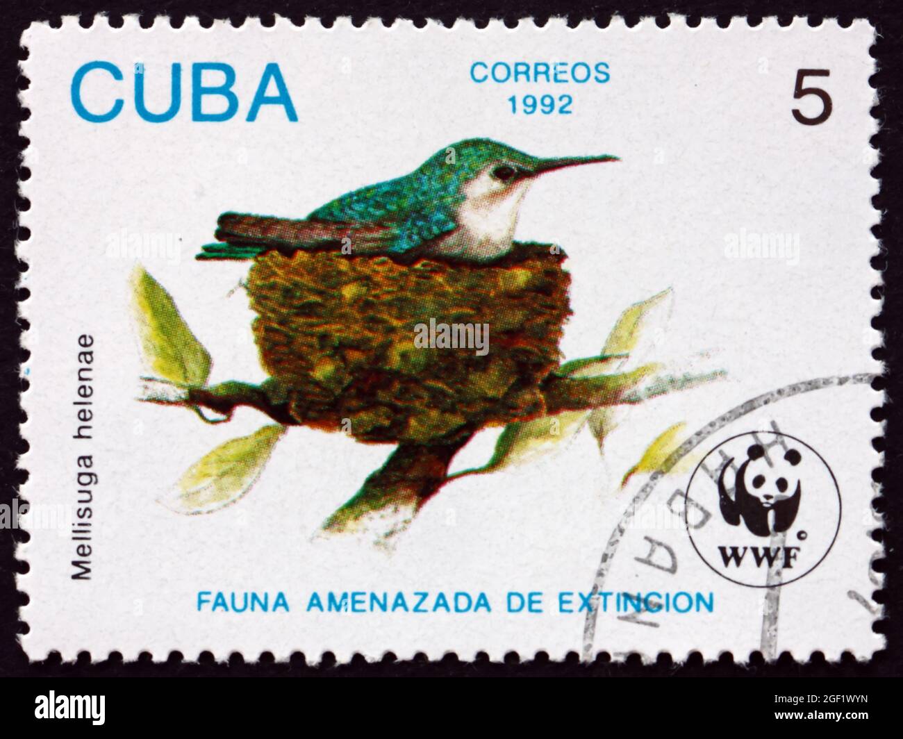 CUBA - CIRCA 1992: Un francobollo stampato a Cuba mostra hummingbird ape, mellisuga helenae, è il più piccolo uccello vivente, circa 1992 Foto Stock