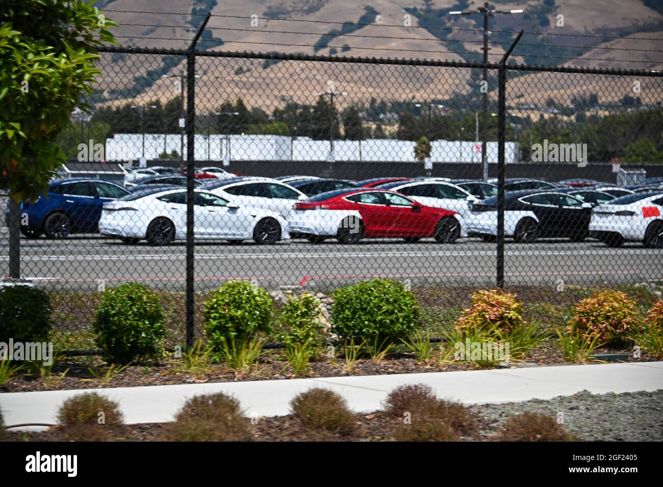 Veicoli Tesla visti presso la fabbrica e la sede centrale Tesla sabato 3 luglio 2021 a Fremont, California (Dylan Stewart/Image of Sport) Foto Stock