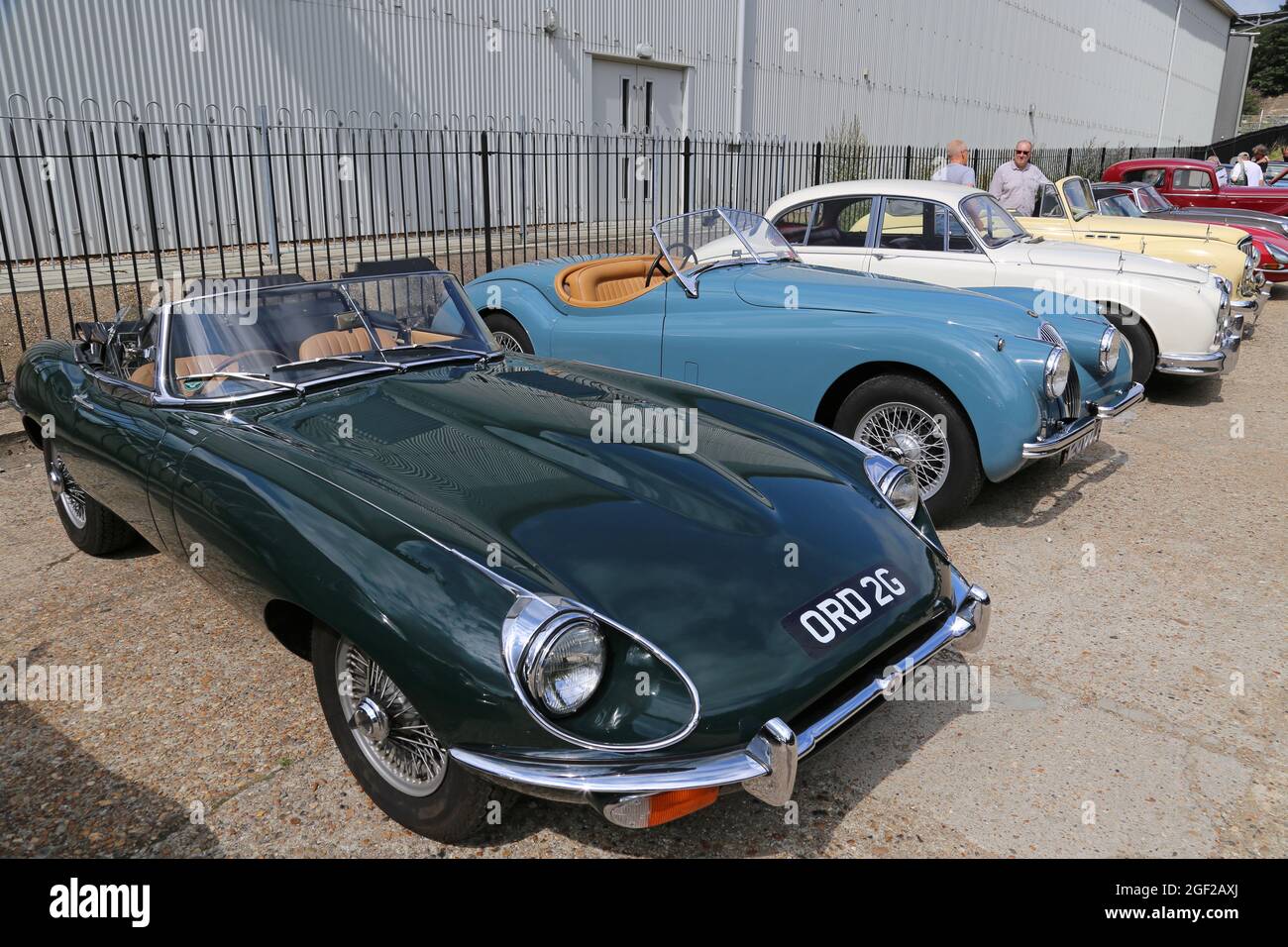 Jaguar e-Type (1968), Jaguar XK120 (1954) e Jaguar Mk2, Summer Classic Gathering, Brooklands Museum, Weybridge, Surrey, Inghilterra, Regno Unito, Europa Foto Stock