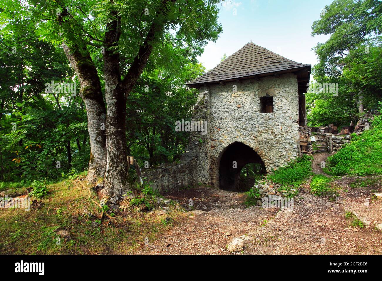 Rovina del castello Muran in Slovacchia Foto Stock