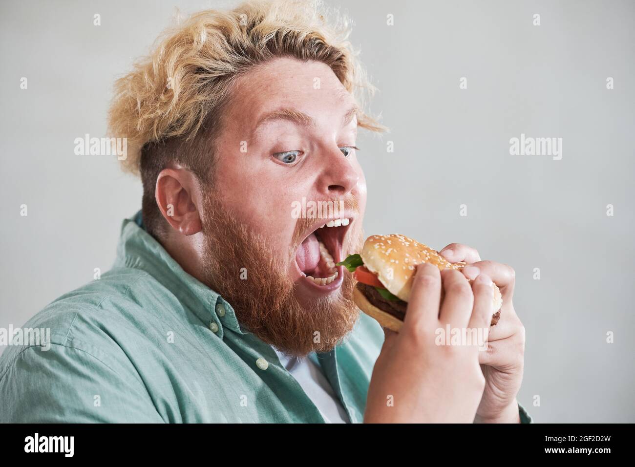 Primo piano di un uomo sovrappeso che apre la bocca e mangia un grande hamburger con piacere isolato su sfondo bianco Foto Stock