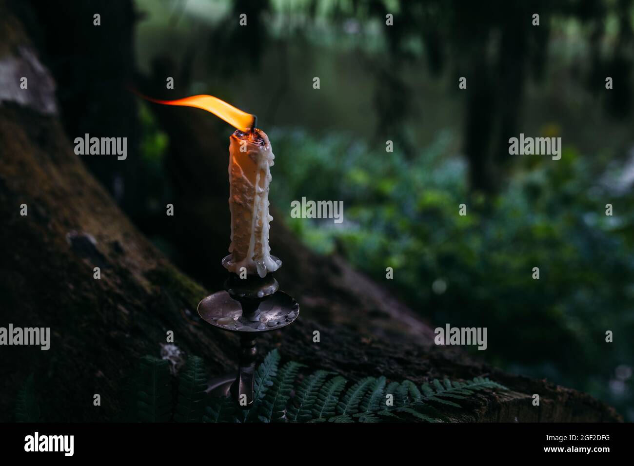 Candela che brucia nella foresta incantata. Concetto occulto, esoterico. Foto Stock