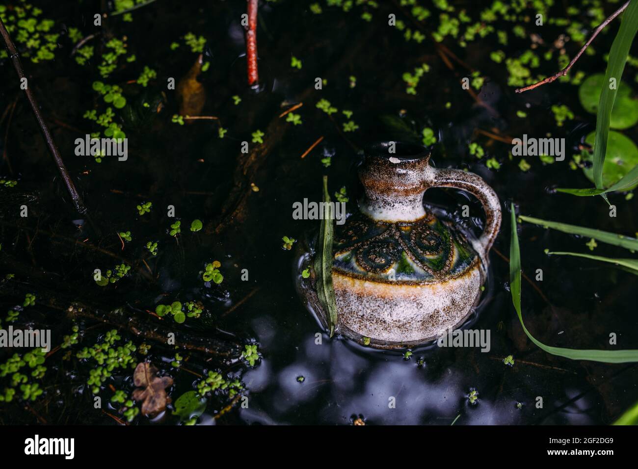 Le bottiglie di vetro sono riempite con ingredienti magici, elisir. Lago misterioso. Foto Stock